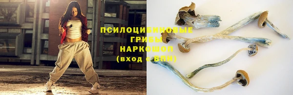 ПСИЛОЦИБИНОВЫЕ ГРИБЫ Вяземский
