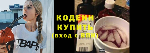 шишки Волоколамск