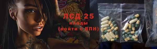 ПСИЛОЦИБИНОВЫЕ ГРИБЫ Вяземский