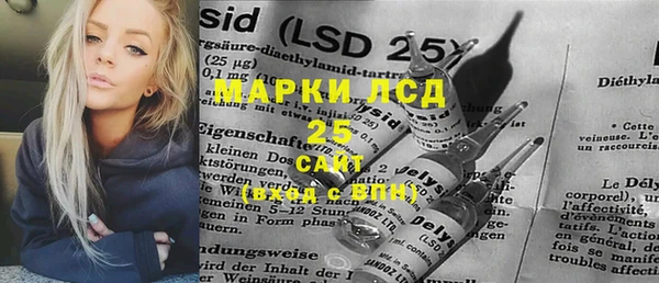 ПСИЛОЦИБИНОВЫЕ ГРИБЫ Вяземский