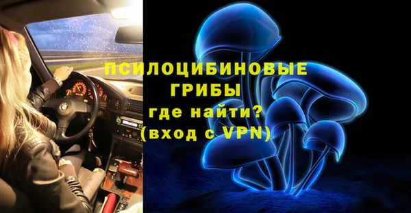 ПСИЛОЦИБИНОВЫЕ ГРИБЫ Вяземский