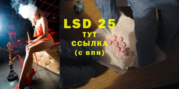ПСИЛОЦИБИНОВЫЕ ГРИБЫ Вяземский