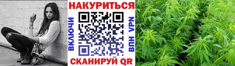 Канабис семена  Павлово 